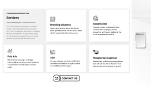 Image- Ace Logic services and contact link