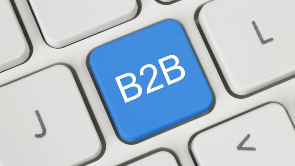 SEO Agency for B2B Companies in India