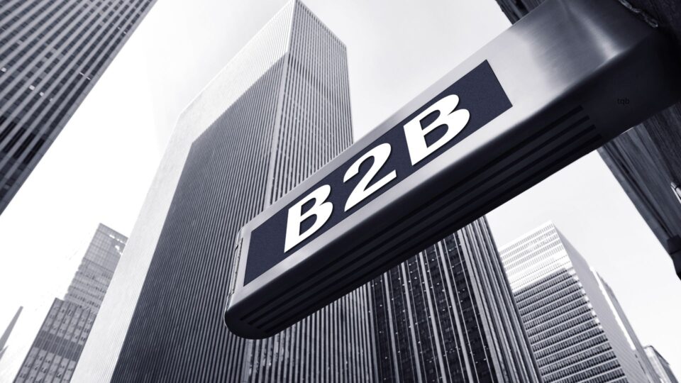 Website for B2B business