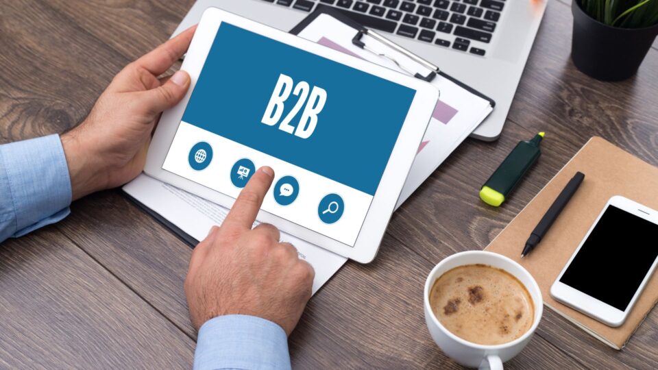 Website for B2B business